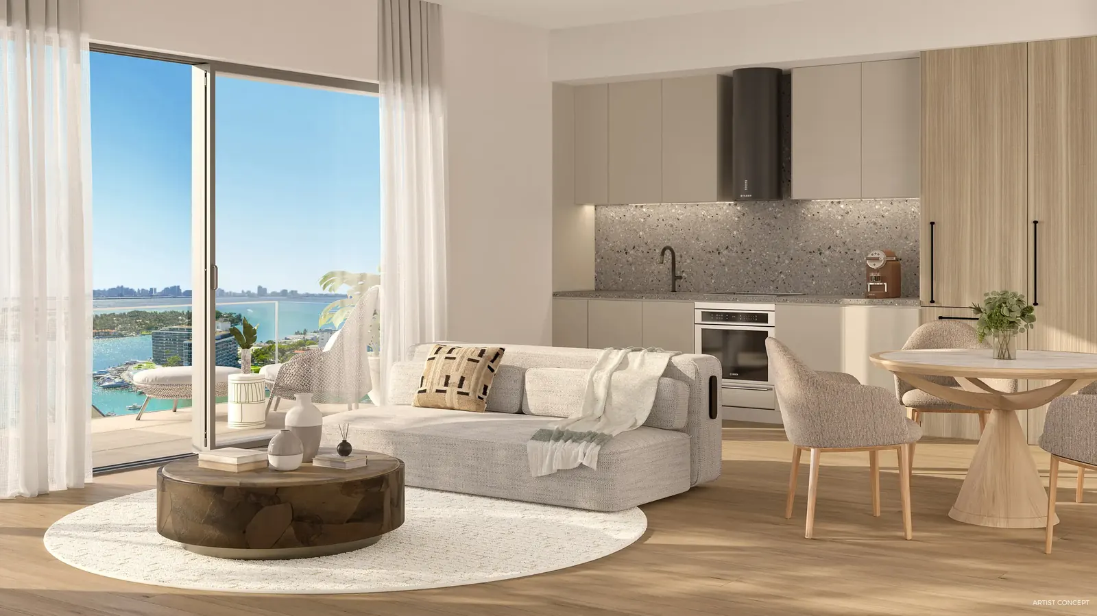 Living 1 Habitaci&oacute;n