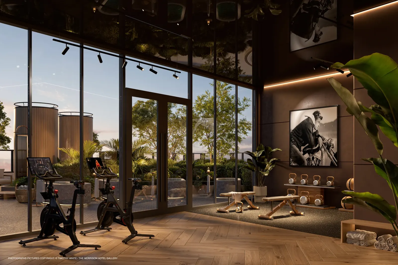 The Rider — Gimnasio